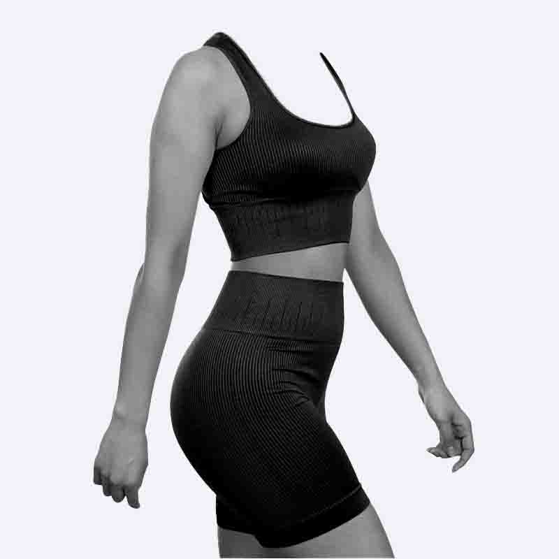 Women's Seamless Ribbed Sports Set