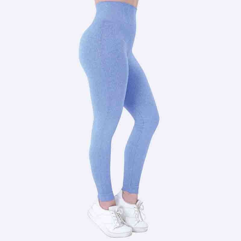 Ribbed Seamless Leggings
