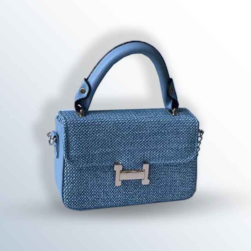 women's handbag