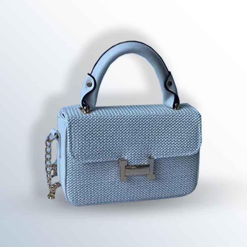 women's handbag