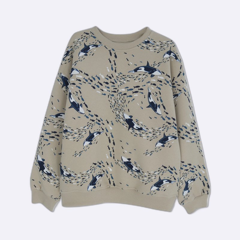 Printed & Solid Crewneck Sweaters